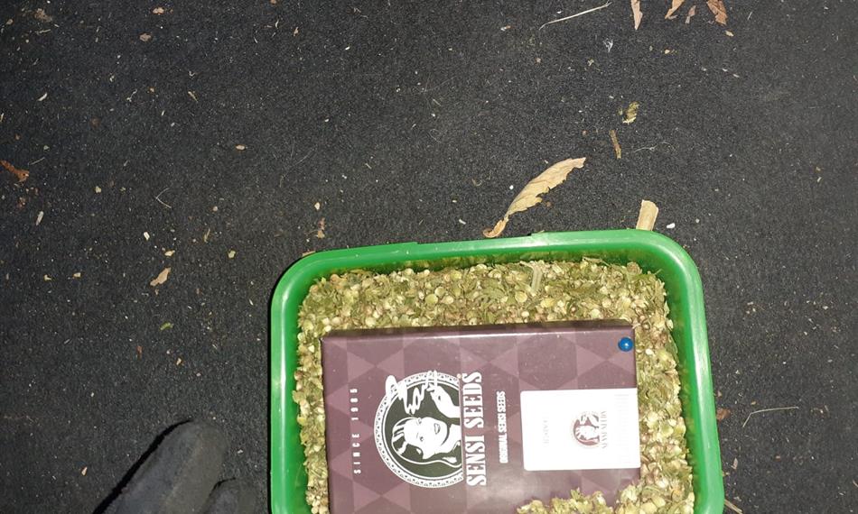 Záchyt konopí a kokainu